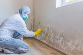 Trusted Butte, AK Mold Removal & Remediation Experts