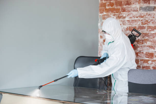 Mold Remediation for Rental Properties in Butte, AK